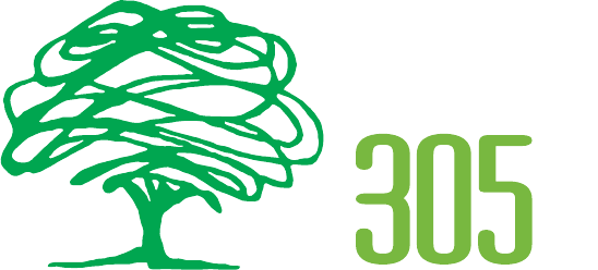 Logo de Parque 305